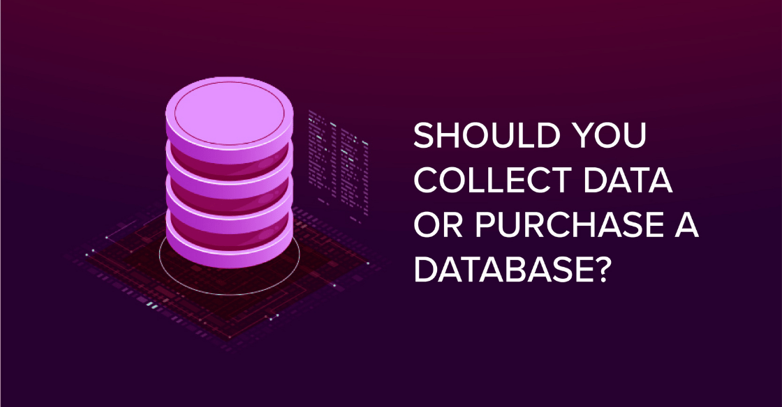 Should You Collect Data or Purchase a Large Database?