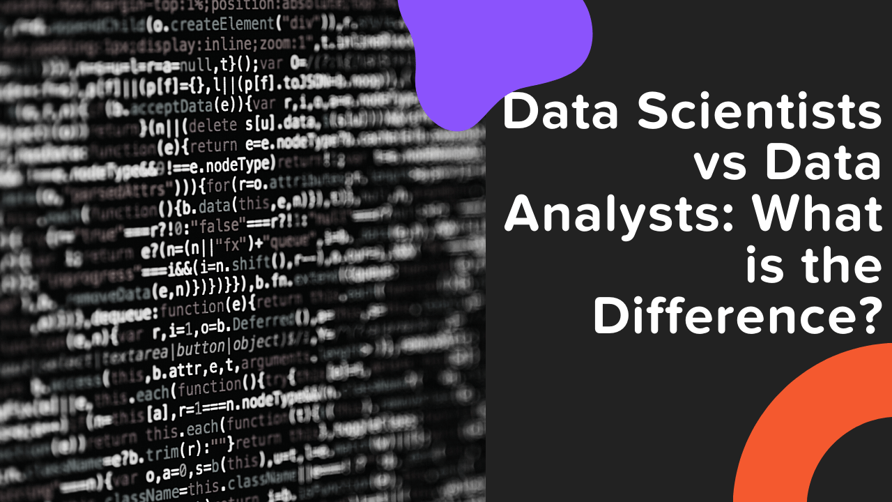 Data Scientists vs Data Analysts: What is the Difference?
